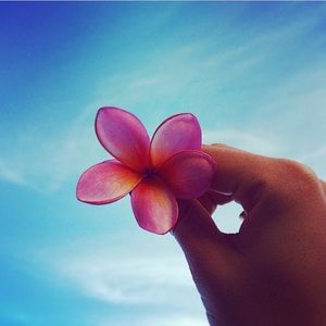 Meet your Posher, Tina